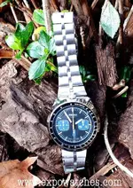 Seiko Bullhead 2.webp