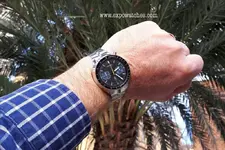 Seiko Bullhead 3.webp