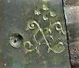 IMAG0320.webp