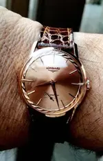 flagship 501 zzz.webp