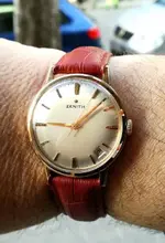 zenith cuerda.webp