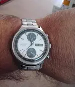 panda-905.webp