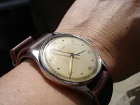 wristshot perfil.webp