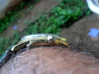 DOXA 21 J I jpg.webp