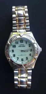 lorus.webp lorus.webp