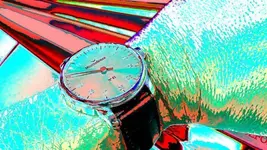 meistersinger solarizado.webp