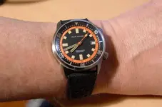 Wrist 1970.webp