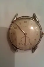 IMAG1478.webp IMAG1478.webp