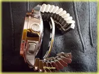 f-DSCN0930.webp