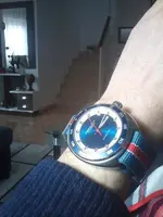 CAM01440.webp