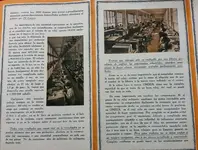 loteria5.webp