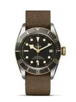 tudor oro.webp