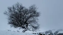 20180210_112518.webp