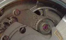 fakeeta - Edited.webp