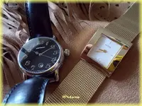 f-DSCN1029.webp