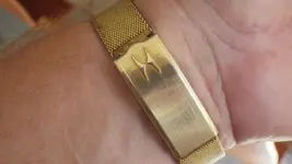 IMGP2117.webp