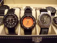 100_1934.webp 100_1934.webp