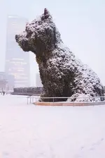 20180228_094434.webp