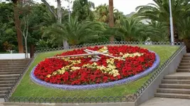 reloj de flores.webp