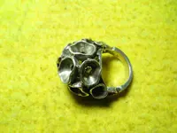 Anillo tratado 2.webp