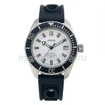 Vostok_Amphibia_SE020B34-480x480.webp
