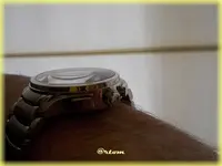 f-DSCN0993.webp