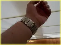 f-DSCN1001.webp