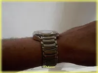 f-DSCN0997.webp