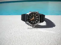 DSCN0109.webp