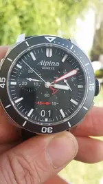 ALPINA 10.webp