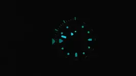 SAM_0093.webp