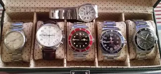 Coleccion.webp