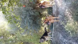 6B74D0AF-09EC-4830-8816-66F9CC067ECE.webp