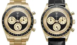 ag_6241gold_face.webp ag_6241gold_face.webp