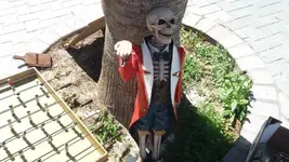 20180311_125955.webp
