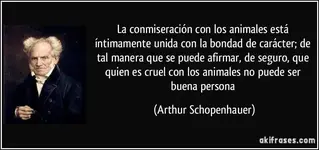 animales.webp