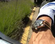image-851582200.webp