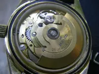 MULCO ETA 2878 g.webp