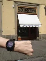 PAM1.webp