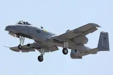 3816666603_dfc43686ab_z.webp