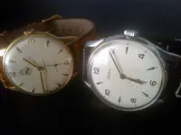 WP_000785.webp WP_000785.webp