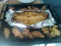 WP_001419.webp