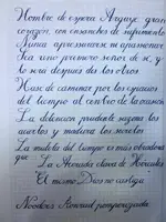 Prueba Escr. Noodlers Konrad.webp