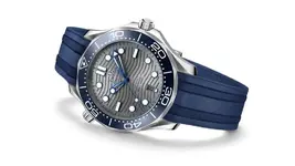 se-diver300m-21032422006001-vuec-large.webp