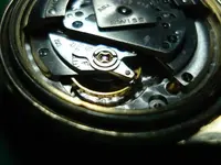 DSC01835.webp