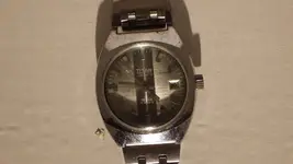 IMGP0737.webp