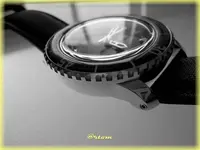 f-DSCN0299.webp