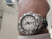 1522575119157949532759.webp