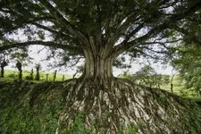 Sin título-111.webp