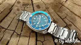 24445472568_669cd34e9e_h.webp